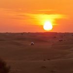 Abu-Dhabi-Evening-Desert-Safari-Tour