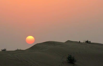 Dune-Bashing-Abu-Dhabi