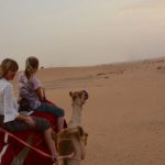 VIP-Desert-Safari-Cost-Abu-Dhbai