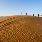 abu-dhabi-Desert-safari-tour-deals-cost-price