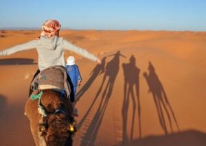 abu-dhabi-liwa-desert-safari-tour
