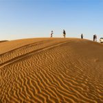 Al-ain-Desert-safari-tour-deals-cost-price